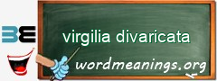 WordMeaning blackboard for virgilia divaricata